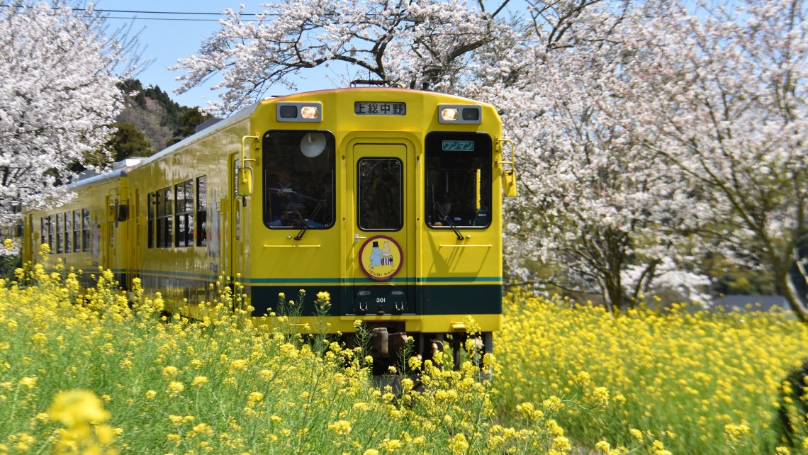 Japonia i powitanie wiosny w lutym